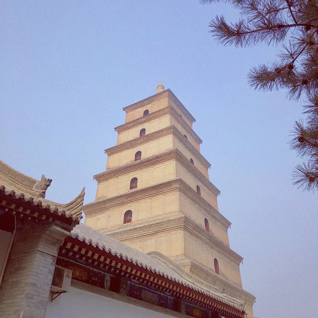 1547690096159190.jpg 641.webp.jpg